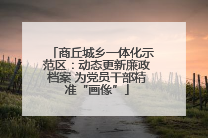 商丘城乡一体化示范区：动态更新廉政档案 为党员干部精准“画像”