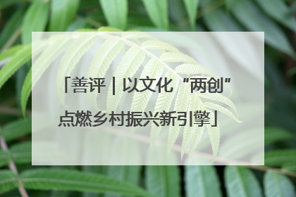 善评｜以文化“两创”点燃乡村振兴新引擎