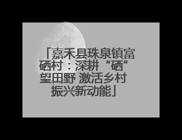 嘉禾县珠泉镇富硒村：深耕“硒”望田野 激活乡村振兴新动能