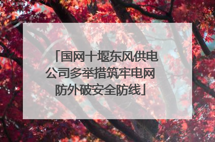 国网十堰东风供电公司多举措筑牢电网防外破安全防线