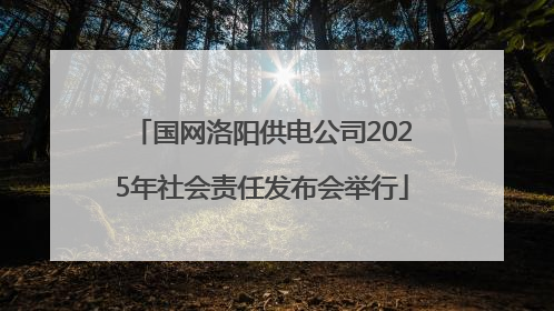 国网洛阳供电公司2025年社会责任发布会举行