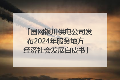国网银川供电公司发布2024年服务地方经济社会发展白皮书