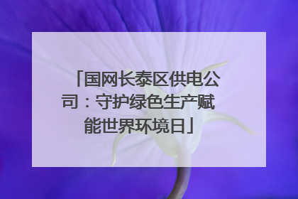国网长泰区供电公司：守护绿色生产赋能世界环境日