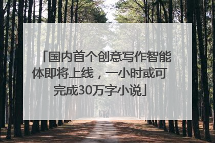国内首个创意写作智能体即将上线，一小时或可完成30万字小说