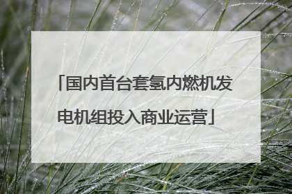 国内首台套氢内燃机发电机组投入商业运营