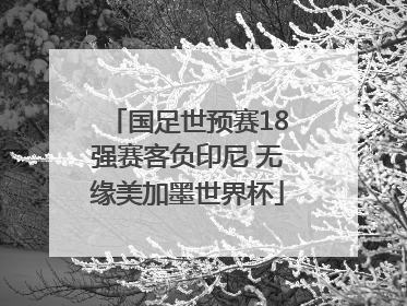 国足世预赛18强赛客负印尼 无缘美加墨世界杯