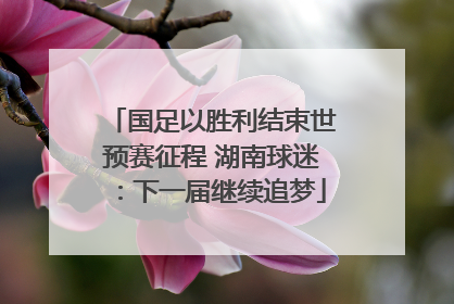 国足以胜利结束世预赛征程 湖南球迷：下一届继续追梦