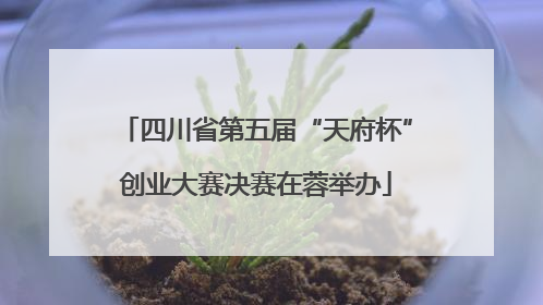 四川省第五届“天府杯”创业大赛决赛在蓉举办