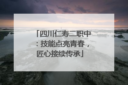 四川仁寿二职中：技能点亮青春，匠心接续传承