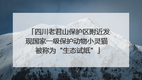 四川老君山保护区附近发现国家一级保护动物小灵猫 被称为“生态试纸”
