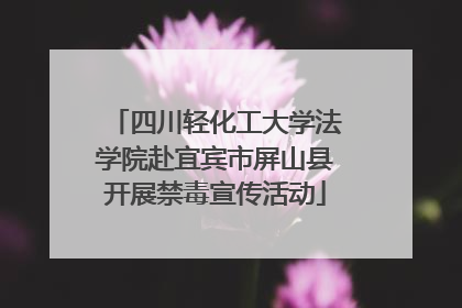 四川轻化工大学法学院赴宜宾市屏山县开展禁毒宣传活动