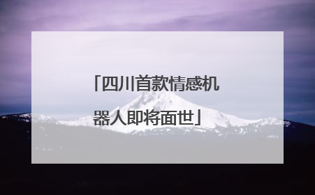 四川首款情感机器人即将面世