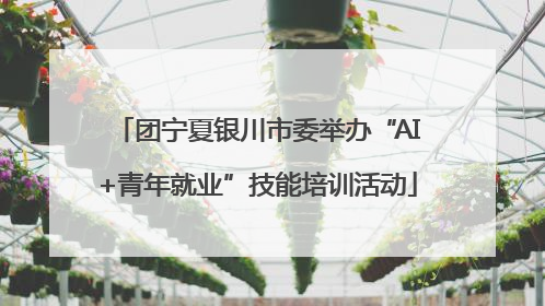 团宁夏银川市委举办“AI+青年就业”技能培训活动
