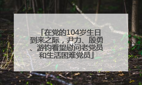 在党的104岁生日到来之际，尹力、殷勇、游钧看望慰问老党员和生活困难党员