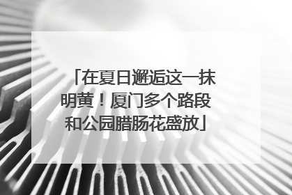 在夏日邂逅这一抹明黄！厦门多个路段和公园腊肠花盛放