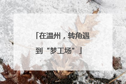 在温州，转角遇到“梦工场”