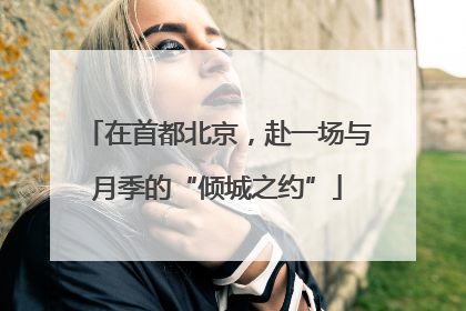 在首都北京，赴一场与月季的“倾城之约”
