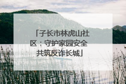 子长市林虎山社区：守护家园安全 共筑反诈长城