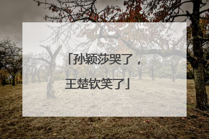 孙颖莎哭了，王楚钦笑了