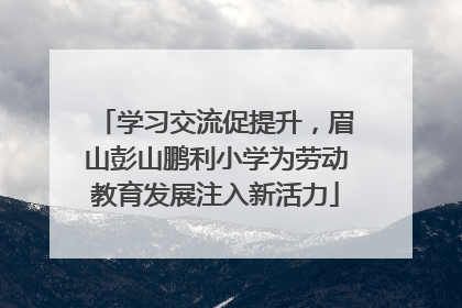 学习交流促提升，眉山彭山鹏利小学为劳动教育发展注入新活力