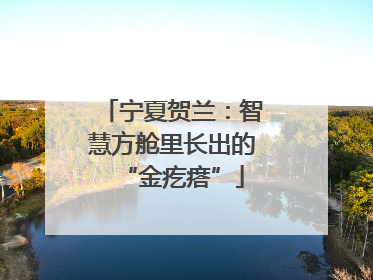 宁夏贺兰：智慧方舱里长出的“金疙瘩”