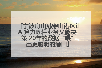 宁波舟山港穿山港区让AI算力既懂业务又能决策 20年的数据“喂”出更聪明的港口