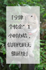 宁津：“个转企”1小时办结，信用代码无缝延续