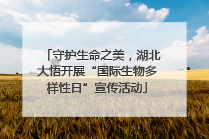 守护生命之美，湖北大悟开展“国际生物多样性日”宣传活动