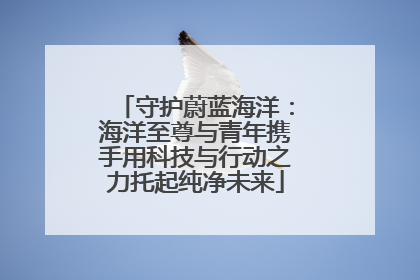 守护蔚蓝海洋：海洋至尊与青年携手用科技与行动之力托起纯净未来