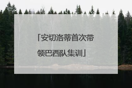 安切洛蒂首次带领巴西队集训