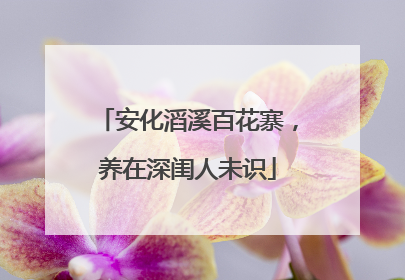 安化滔溪百花寨，养在深闺人未识