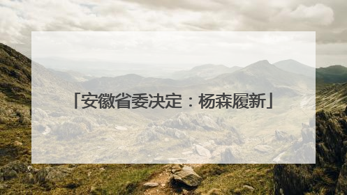 安徽省委决定：杨森履新