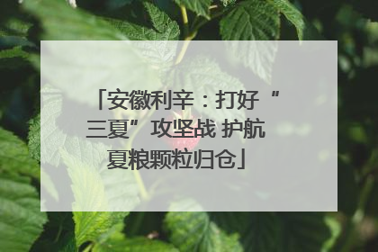 安徽利辛：打好“三夏”攻坚战 护航夏粮颗粒归仓