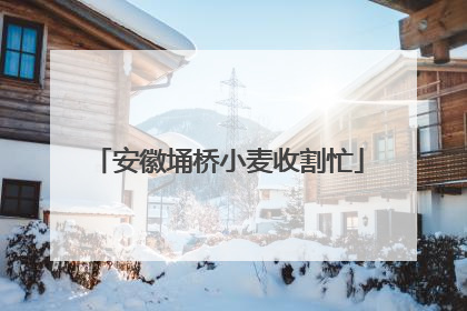 安徽埇桥小麦收割忙