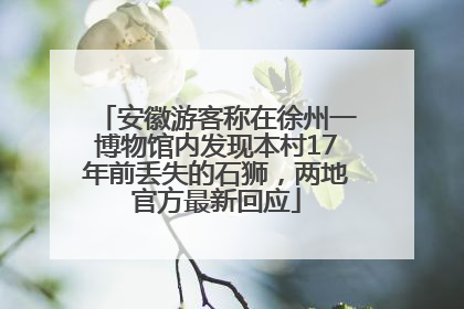 安徽游客称在徐州一博物馆内发现本村17年前丢失的石狮，两地官方最新回应