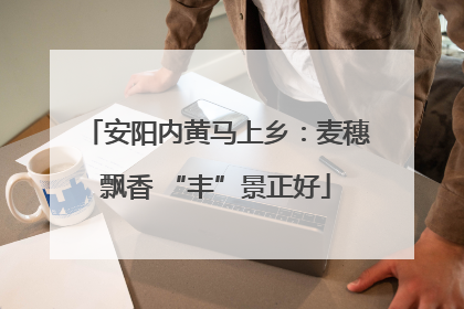 安阳内黄马上乡：麦穗飘香 “丰”景正好