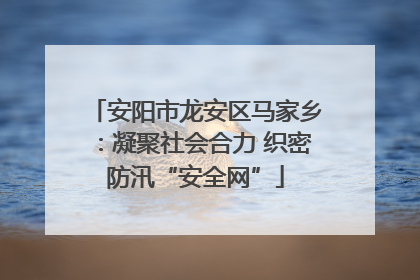 安阳市龙安区马家乡：凝聚社会合力 织密防汛“安全网”