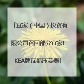 宜家（中国）投资有限公司召回部分宜家IKEA牌瓦福压蒜器