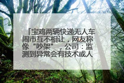 宝鸡两辆快递无人车闹市互不相让，网友称像“吵架”，公司：监测到异常会有技术或人为干预处置