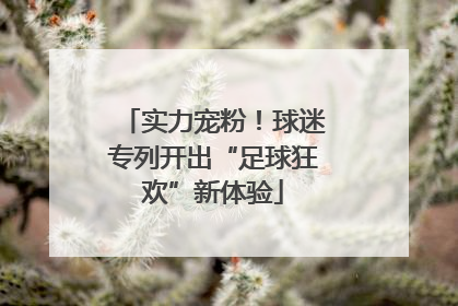 实力宠粉！球迷专列开出“足球狂欢”新体验