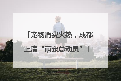 宠物消费火热，成都上演“萌宠总动员”