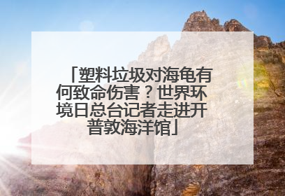 塑料垃圾对海龟有何致命伤害？世界环境日总台记者走进开普敦海洋馆