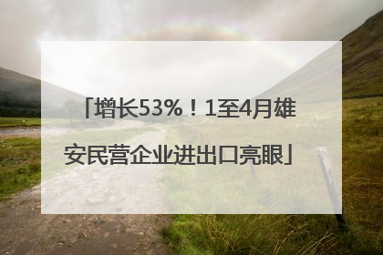 增长53%！1至4月雄安民营企业进出口亮眼
