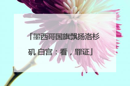 墨西哥国旗飘扬洛杉矶 白宫：看，罪证