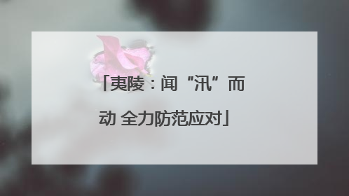夷陵：闻“汛”而动 全力防范应对