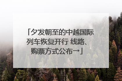 夕发朝至的中越国际列车恢复开行 线路、购票方式公布→
