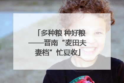 多种粮 种好粮——晋南“麦田夫妻档”忙夏收
