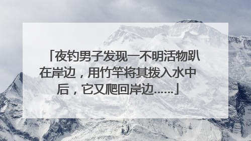 夜钓男子发现一不明活物趴在岸边，用竹竿将其拨入水中后，它又爬回岸边……
