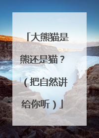 大熊猫是熊还是猫？（把自然讲给你听）