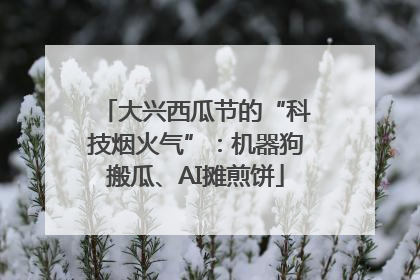 大兴西瓜节的“科技烟火气”：机器狗搬瓜、AI摊煎饼